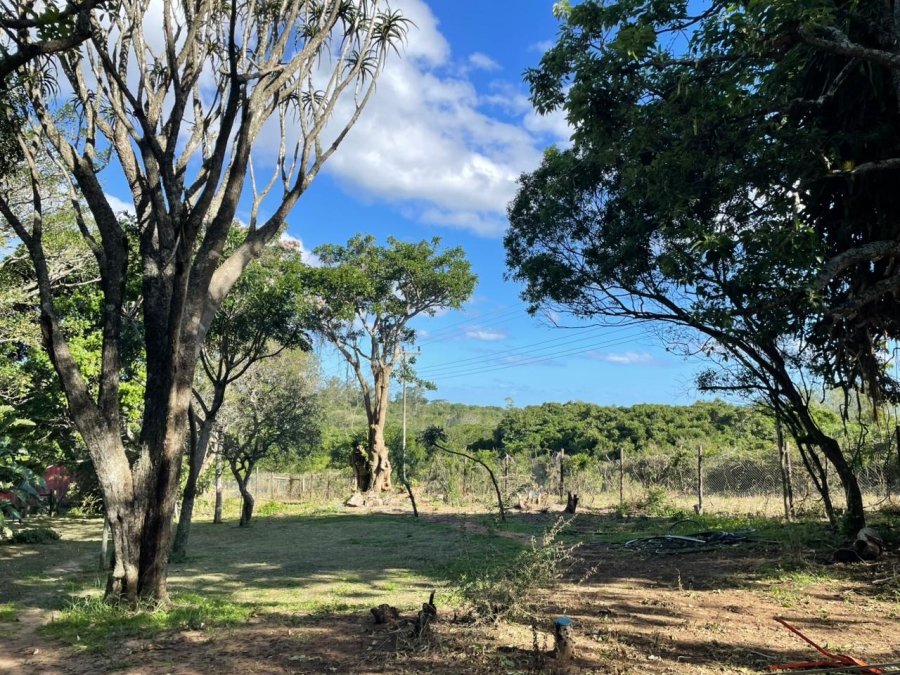 3 Bedroom Property for Sale in Bathurst Eastern Cape